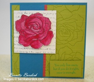 Stampin' Up! Rose Stampin' Up! Rose