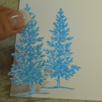 card masking