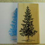 card masking