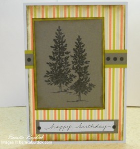 Card Masking Card Masking