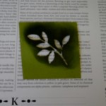 leaf stencil